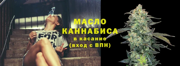 твердый Заводоуковск