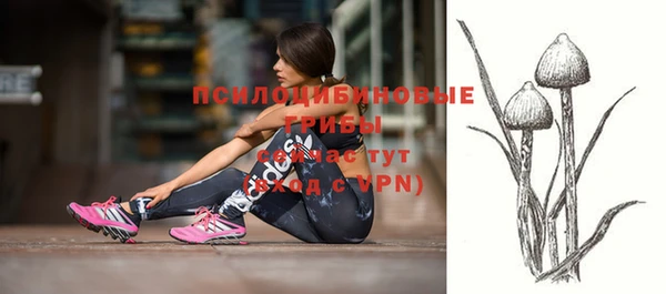 твердый Заводоуковск