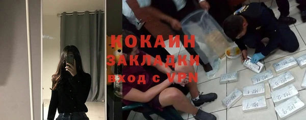 твердый Заводоуковск