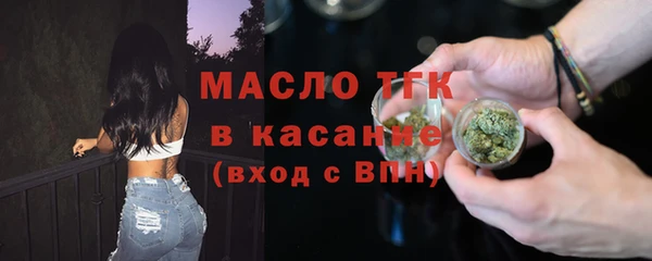 твердый Заводоуковск