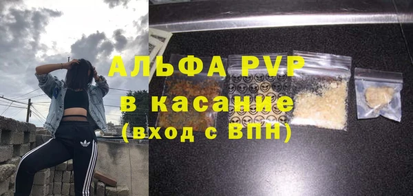твердый Заводоуковск