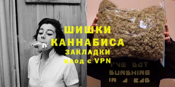 твердый Заводоуковск