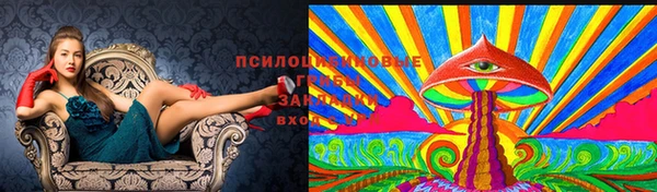 твердый Заводоуковск