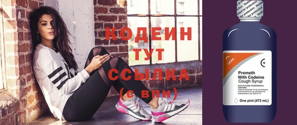 твердый Заводоуковск