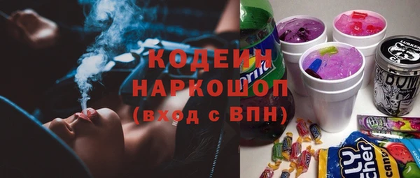 твердый Заводоуковск