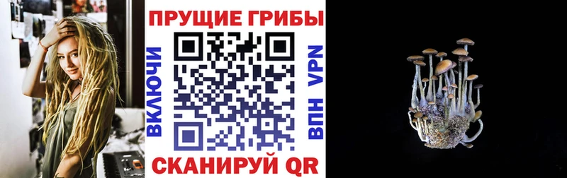 купить   Сланцы  Галлюциногенные грибы мухоморы 