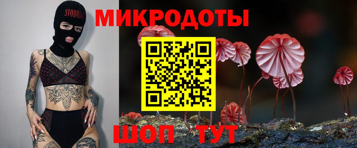 Сланцы  Псилоцибиновые грибы Cubensis  Вход с VPN 