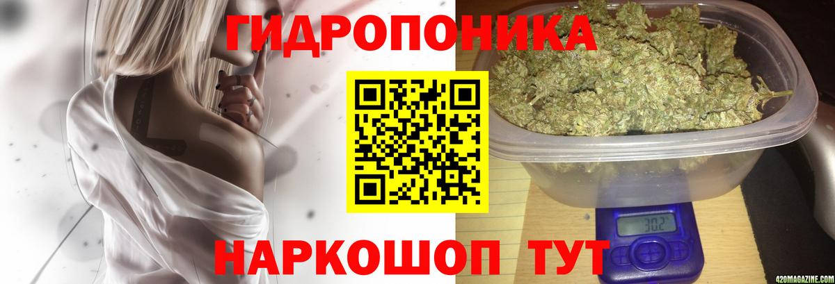 Бошки марихуана Amnesia Сланцы